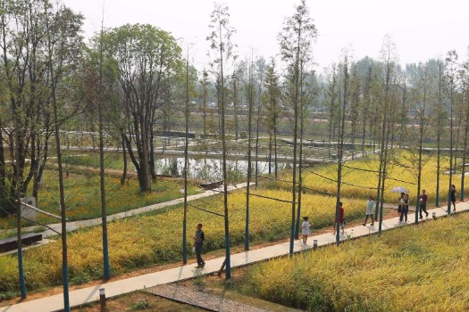 景观-乡村项目:土人景观、农民和他们的土地:中国蠡县城头山考古景观的恢复
